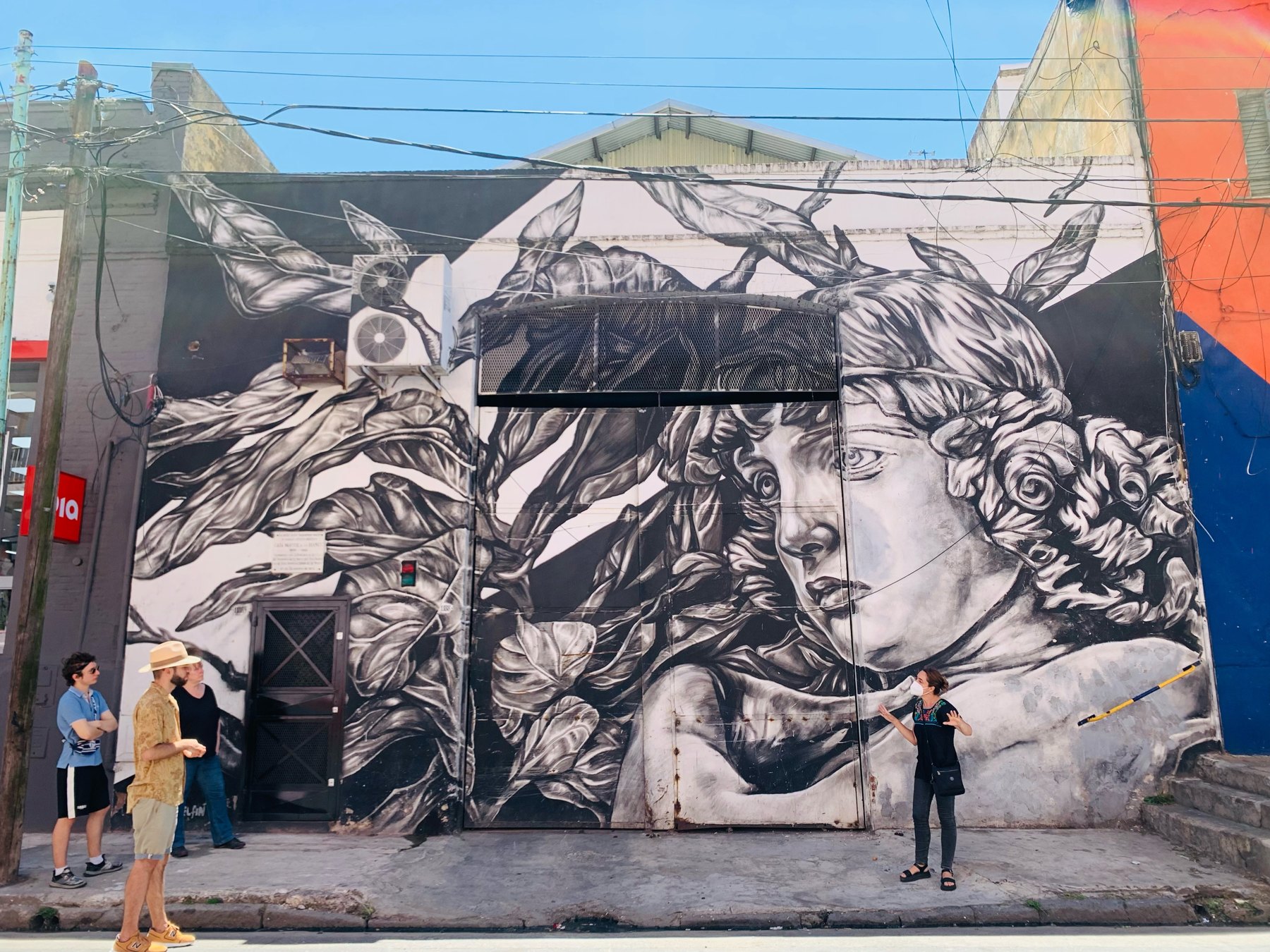 Buenos Aires Street Art Tour: Murals of La Boca and Barracas